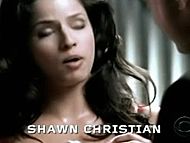 clip-CSI: New York-Polly Part'em