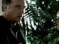 clip-CSI: Crime Scene Investigation-Amanda Haynes