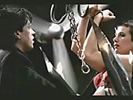 clip-Curiosity & the Cat-Paula