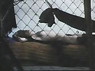 clip-Deseos-NA