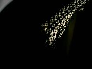 Naked Rica Peralejo In Dos Ekis Video Clip