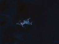 clip-Freddy vs. Jason-Heather