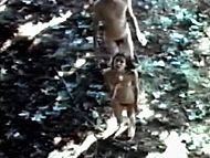 clip-Glen and Randa-Randa
