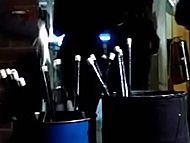 clip-The Grasshopper-Christine Adams