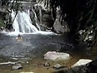 clip-Hercules in the Underworld-Iole