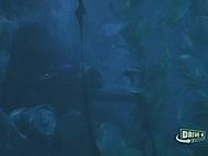 clip-Humanoids from the Deep-Kim Parker