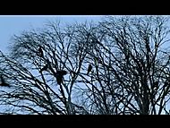 clip-Jindabyne-Susan