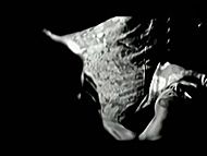 clip-Kai Rabe gegen die Vatikankiller-Carla Kralski
