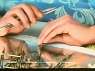 clip-Kaltes Fieber-Babsie