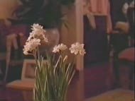 Video of Kelly McGillis in Grand Isle