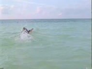 Video of Kelly McGillis in Grand Isle