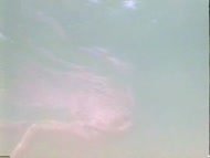 Video of Kelly McGillis in Grand Isle