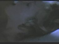 clip-Kingpin-Marlene McDillon Cadena