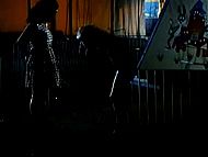 clip-Wilder Westerwald-Verena