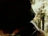 clip-Nightmare Weekend-Jessica Brake