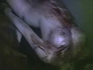 Naked Erin Marie Hogan In Paranormal Entity