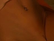 clip-Peach Obsession: Erika-Herself