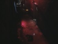 Video of Rochelle Swanson in Indecent Behavior II