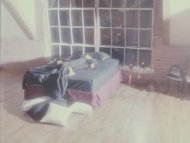 Video of Rochelle Swanson in Indecent Behavior II
