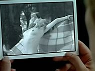 clip-El Segundo aire-Julia