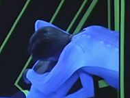 clip-Sexual Matrix-Diane Shields/Cybergirl