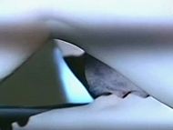 clip-Sinful Nights-Fe clip-Sinful Nights-Fe