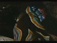 clip-The Trip-Sally Groves