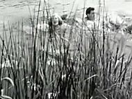 Liv Ullmann