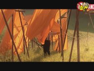 clip-V for Vendetta-Valerie