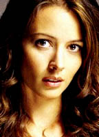 Amy Acker nude