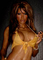 Traci Bingham nude
