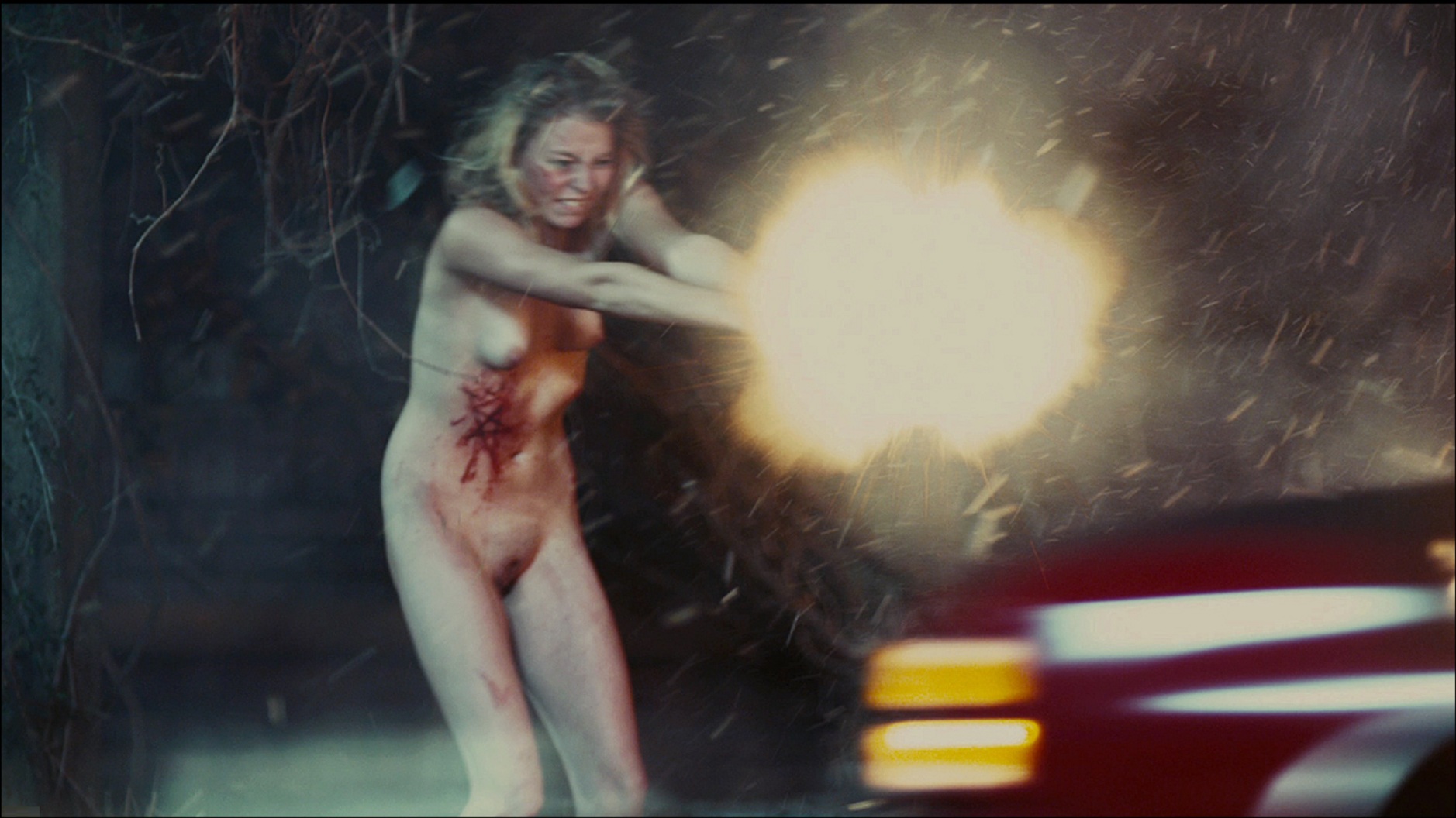 Dani speegle naked official page shenaked.org