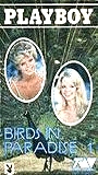 Birds in Paradise (1988) Nude Scenes