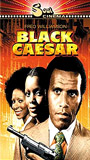 Black Caesar movie nude scenes