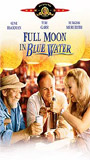 Full Moon in Blue Water 1988 movie nude scenes