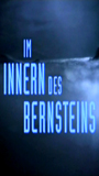 Im Innern des Bernsteins (1995) Nude Scenes