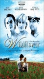 Wildflower 1999 movie nude scenes