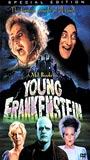 Young Frankenstein 1974 movie nude scenes