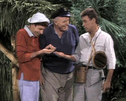 Gilligan's Island Naked